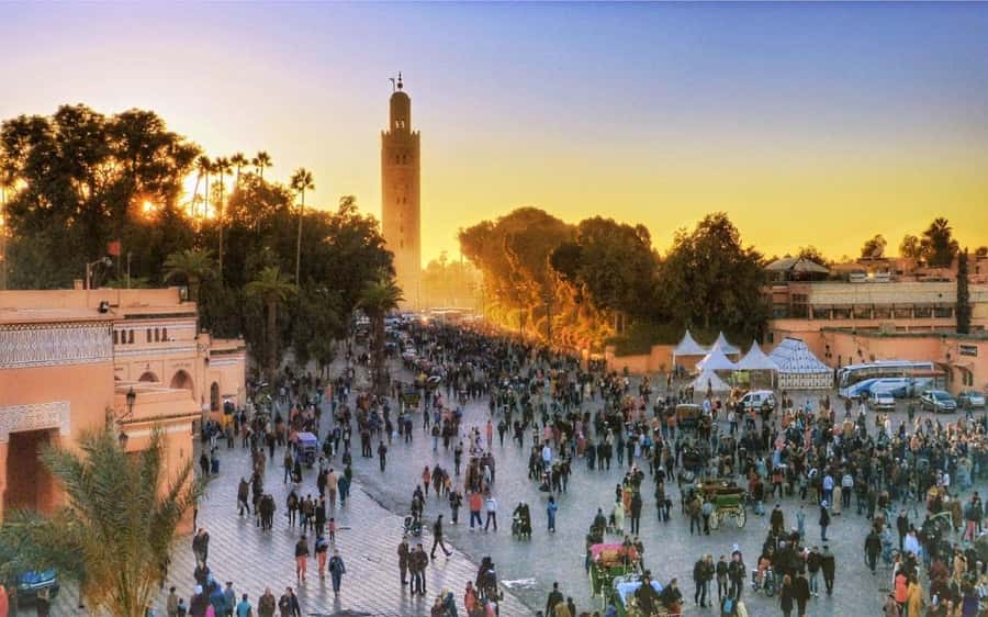 Marrakech Monuments & Souks 3-Hour Tour - The souks, shopping, and the value of a guide