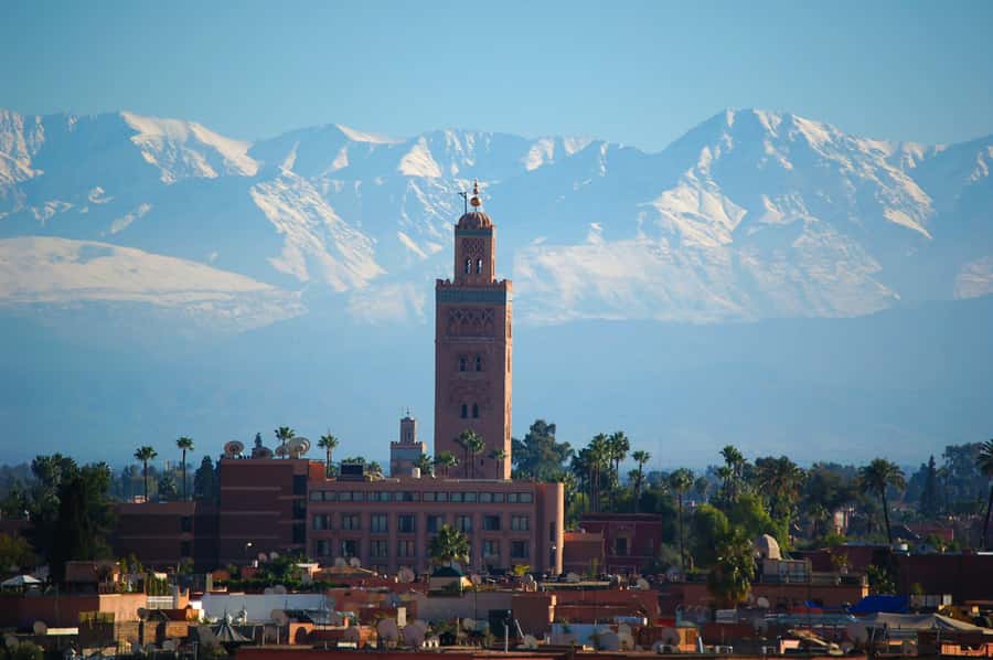Marrakech: Moroccan Cooking Class with Amazing Local Chef! - A Moroccan kitchen lesson, not just a meal