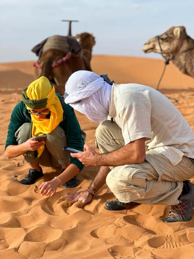 Marrakech/Ouarzazate: 2-Day Desert with Camel, 4x4 & Meals - Key points to know before booking