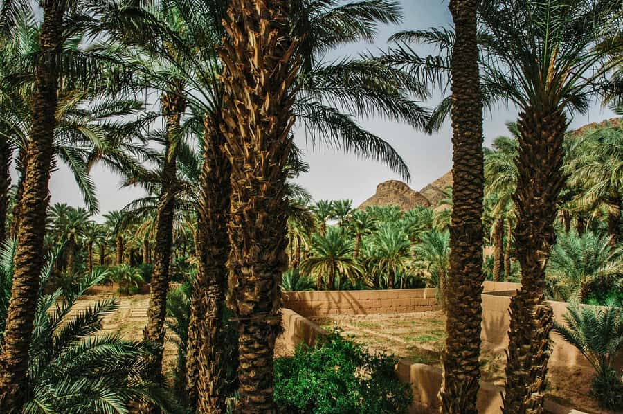 Marrakech/Ouarzazate: 2-Day Desert with Camel, 4x4 & Meals - Ait Ben Haddou and the movie-set setting