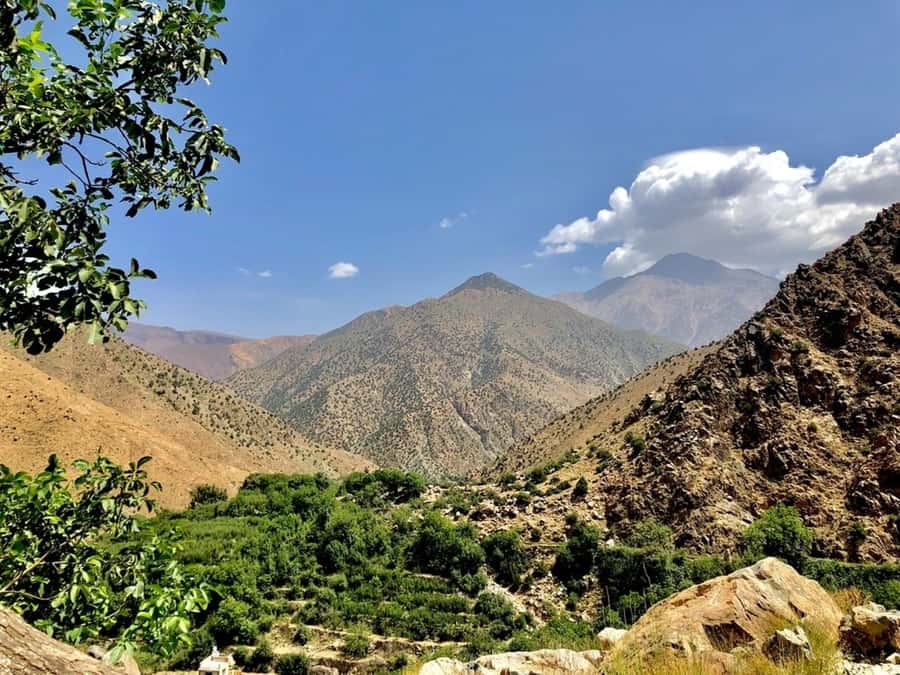 Marrakech: Ourika Valley & Atlas Mountains Half-Day Trip - Is $64 a fair price?