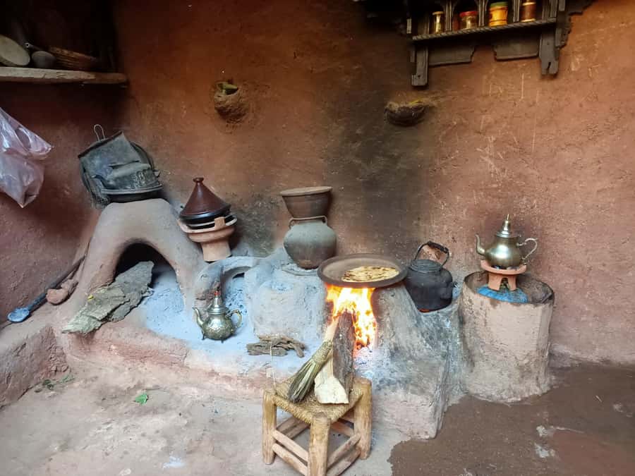 Marrakech Ourika Valley, Atlas Mountains, Waterfall + Lunch - The argan oil cooperative: useful, but not the most authentic stop
