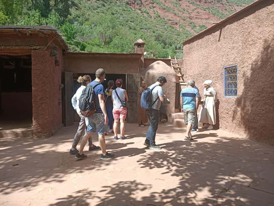 Marrakech Ourika Valley, Atlas Mountains, Waterfall + Lunch - Berber village life and tea with a family