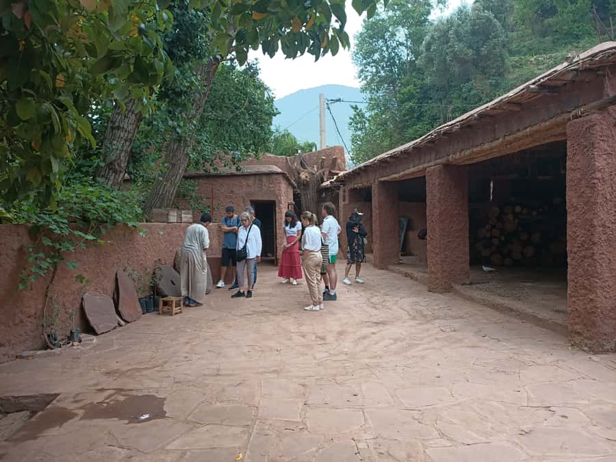 Marrakech Ourika Valley, Atlas Mountains, Waterfall + Lunch - Guides can shape the whole day