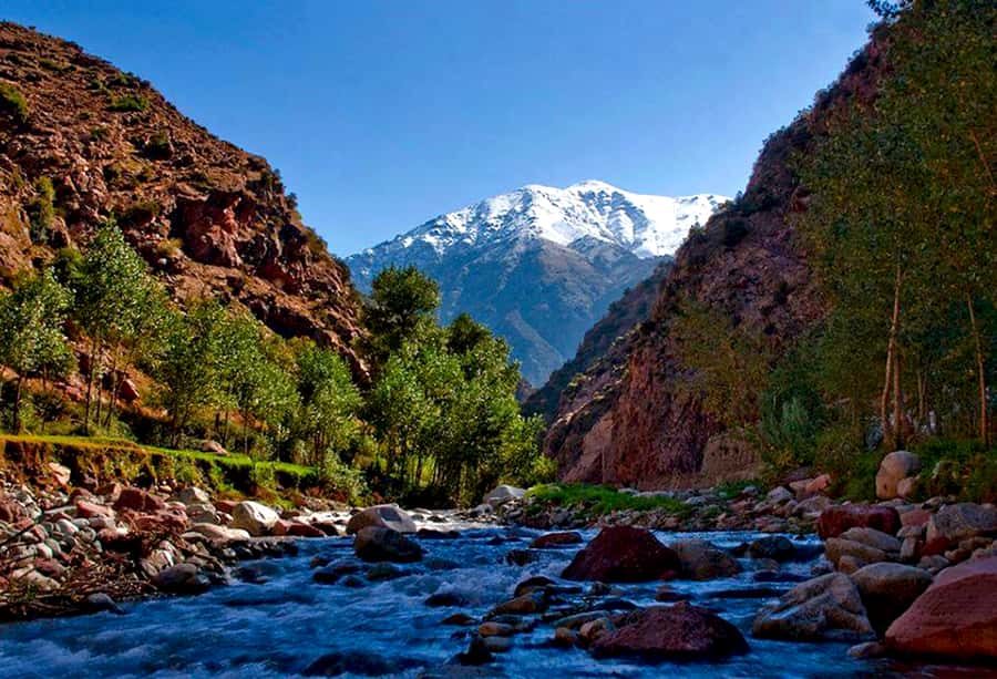 Marrakech: ourika valley Atlas Mountains & Waterfalls Trip - Tea, bread, and a Berber home