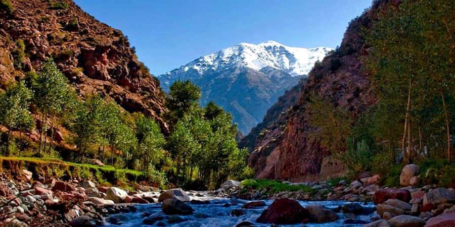 Marrakech: Ourika Valley Day Trip & Waterfalls Hike - Key things to know before you book