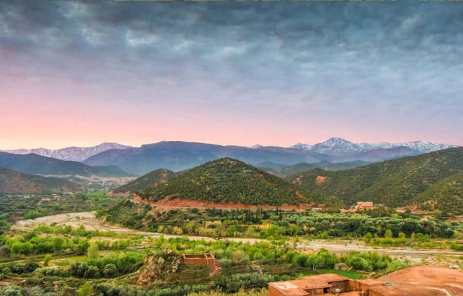 Marrakech: Ourika Valley Day Trip & Waterfalls Hike - The Ourika Valley stop and the case for slower travel