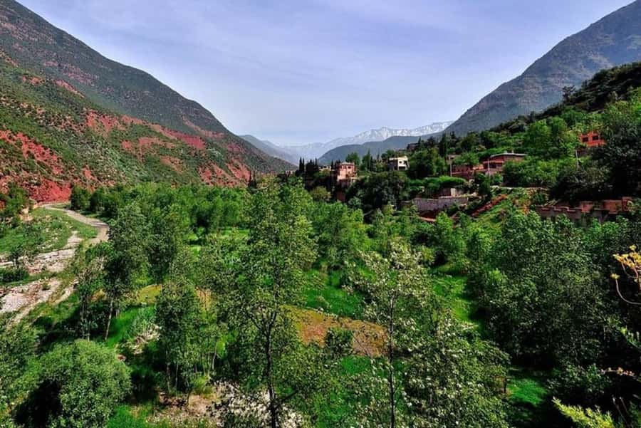 Marrakech: ourika valley lunch & guided hike to waterfalls - Should you book the Ourika Valley day trip?