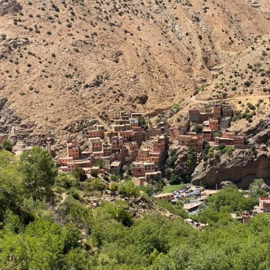 Marrakech: Ourika Valley & Setti Fatma Waterfalls with Lunch - How the $14 price compares with the experience