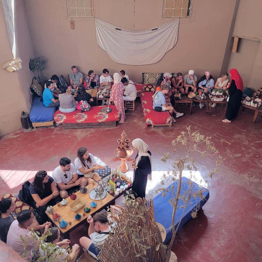 Marrakech: Ourika Valley & Setti Fatma Waterfalls with Lunch - Who should book this Ourika Valley day?