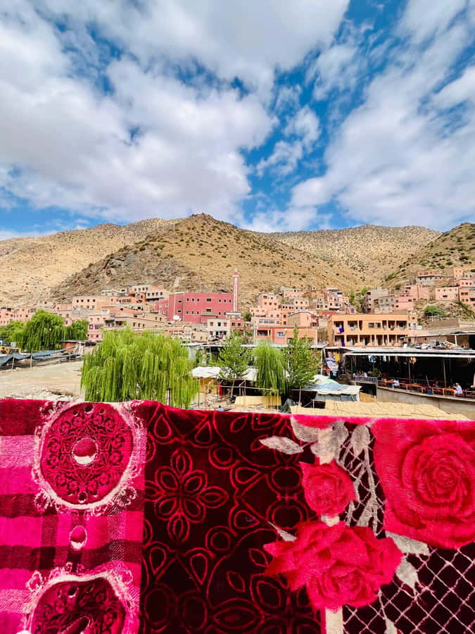 Marrakech: ourika valley & waterfall Day Trip with guide - Who will enjoy this day trip most