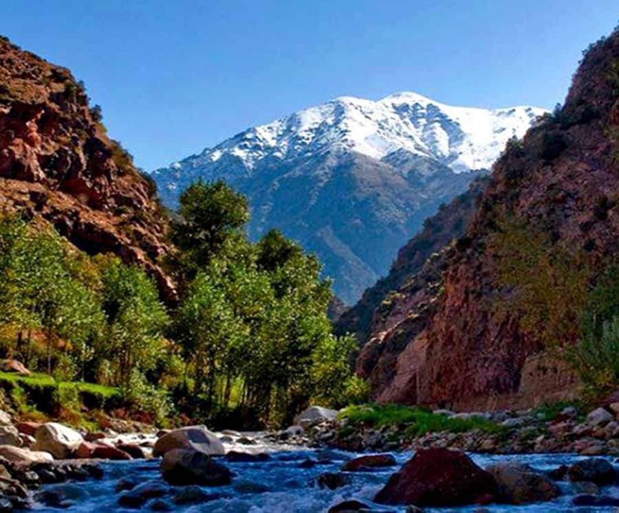 Marrakech: Ourika Valley,Waterfalls, Atlas Luxury Day trip - Price, value, and who should book