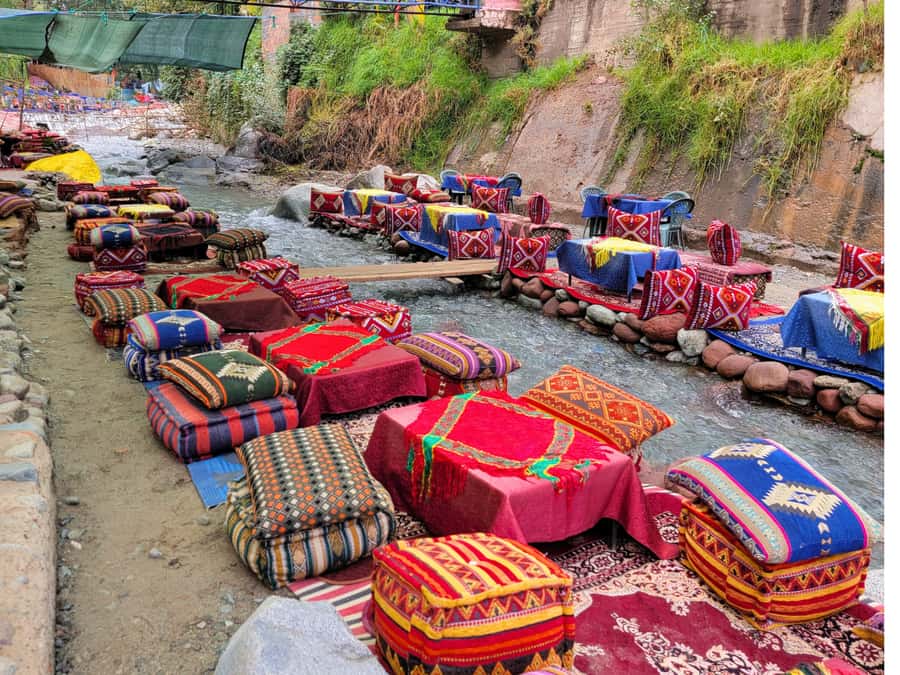 Marrakech: Ourika Valley & Waterfalls Guided Tour with Lunch - Understanding argan oil at the women’s cooperative