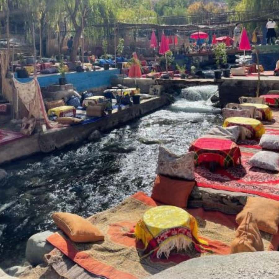 Marrakech: Ourika Valley & Waterfalls Guided Tour with Lunch - Transport, timing, and group comfort