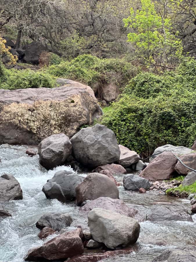 Marrakech: Ourika Valley Waterfalls Hike & Traditional Lunch - Lunch beside the river after the hike