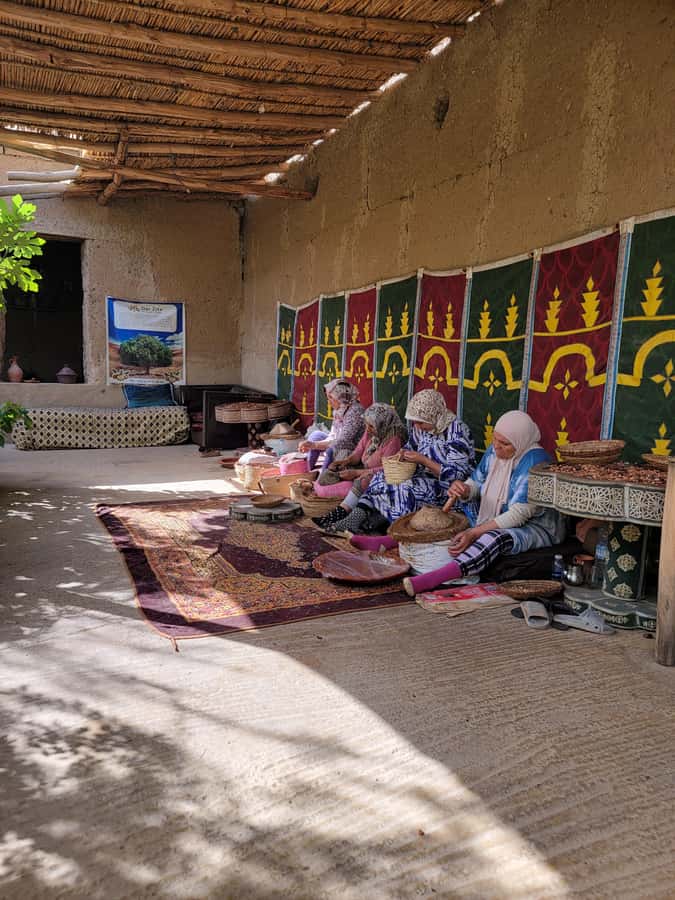 Marrakech: Ourika Valley, Waterfalls Private Trip with Lunch - Riverside lunch with tagine and mountain air
