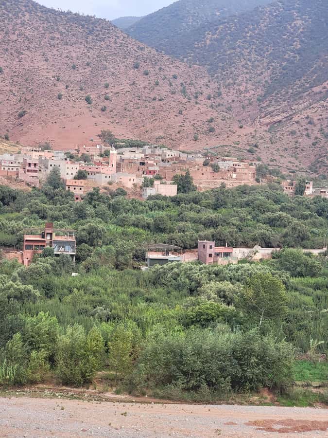 Marrakech: Ourika Valley, Waterfalls Private Trip with Lunch - Who should book this Ourika Valley trip?
