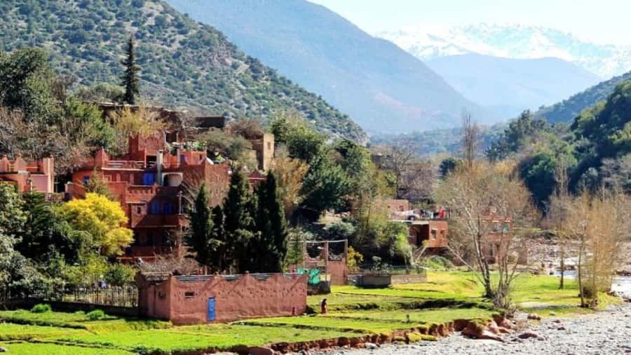 Marrakech: Ourika Valley waterfalls with guide& Berber lunch - How the $29 price compares