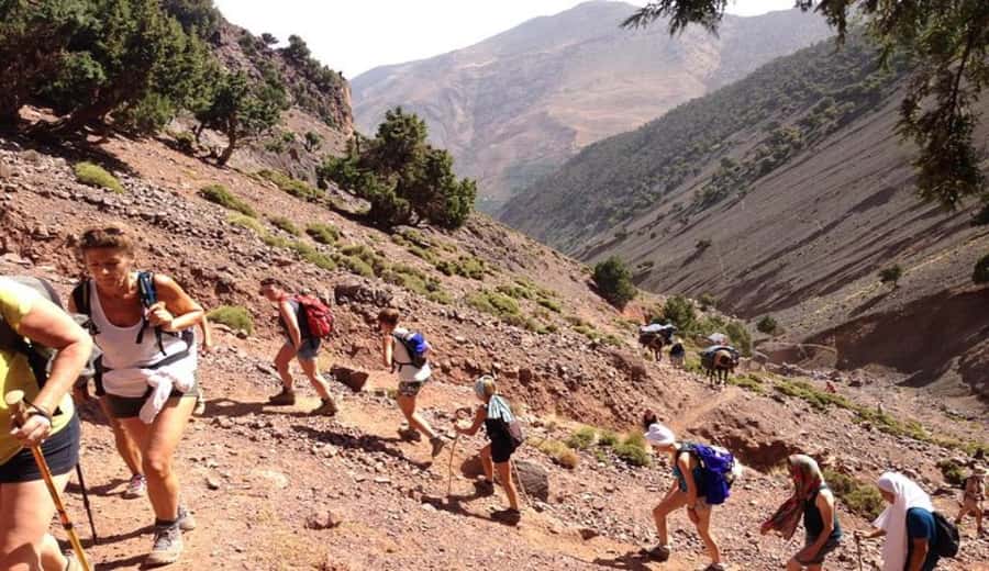 Marrakech: Ourika Valley waterfalls with guide& Berber lunch - Who will enjoy this day most