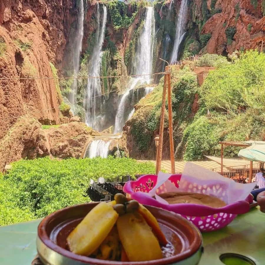 Marrakech: Ouzoud Waterfall, Guided Hike, Boat Ride & Lunch - Looking for Barbary macaques