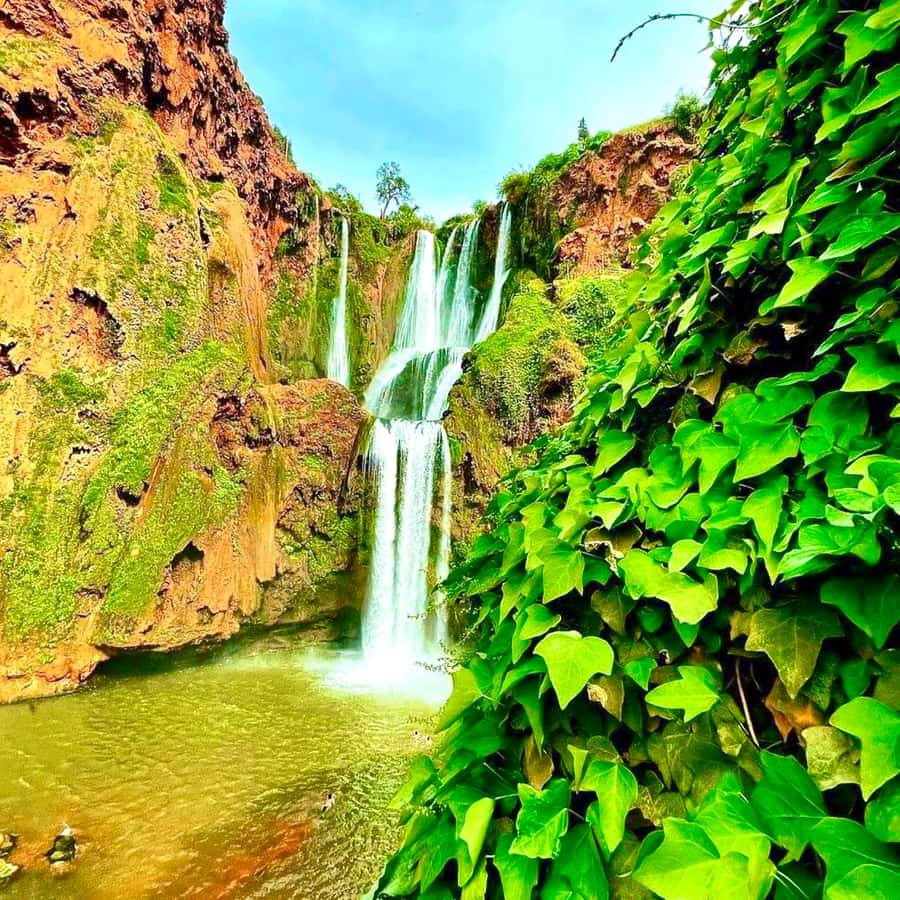 Marrakech: Ouzoud Waterfall, Guided Hike, Boat Ride & Lunch - Is $16 a good value?