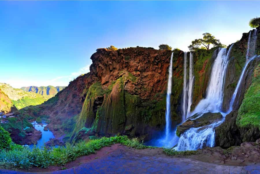 Marrakech : Ouzoud Waterfalls & Guided Tour & Boat Ride - Barbary macaques along the trail