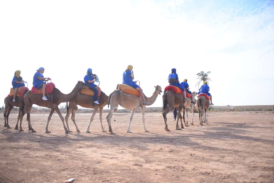Marrakech: pack quad and camel ride in the palm grove - Key points to know before booking