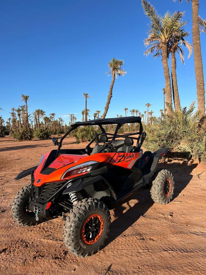 Marrakech : Palm Grove and jbilat Desert Buggy 1000cc Tour - Key points to know before you book