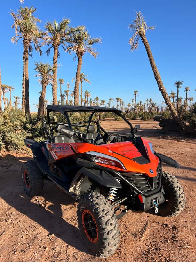 Marrakech : Palm Grove and jbilat Desert Buggy 1000cc Tour - Two Hours Across Rocky Desert and Palm Trees