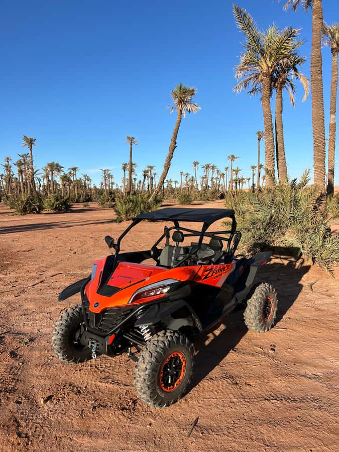 Marrakech : Palm Grove and jbilat Desert Buggy 1000cc Tour - Mint Tea at a Traditional Villa