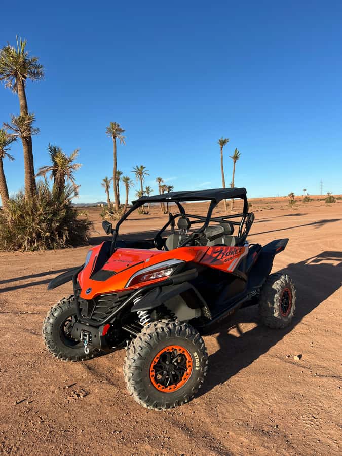 Marrakech : Palm Grove and jbilat Desert Buggy 1000cc Tour - A Ten-Minute Palm Grove Photo Stop