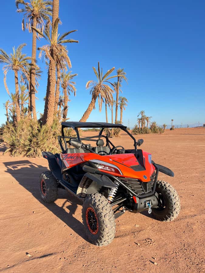 Marrakech : Palm Grove and jbilat Desert Buggy 1000cc Tour - Is $79 Good Value?