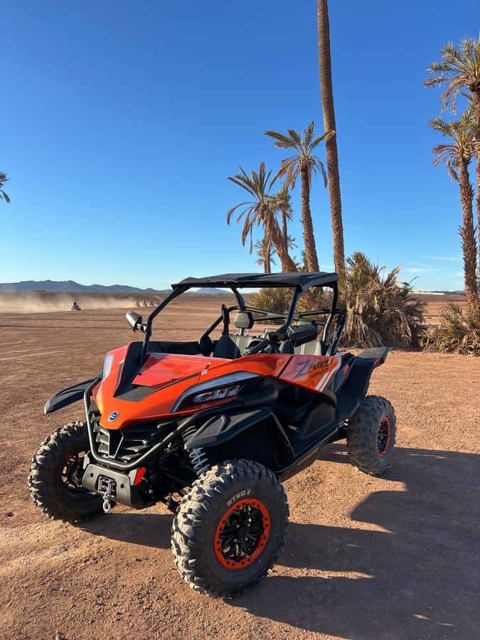 Marrakech : Palm Grove and jbilat Desert Buggy 1000cc Tour - Timing, Clothing, and Small Practical Tips