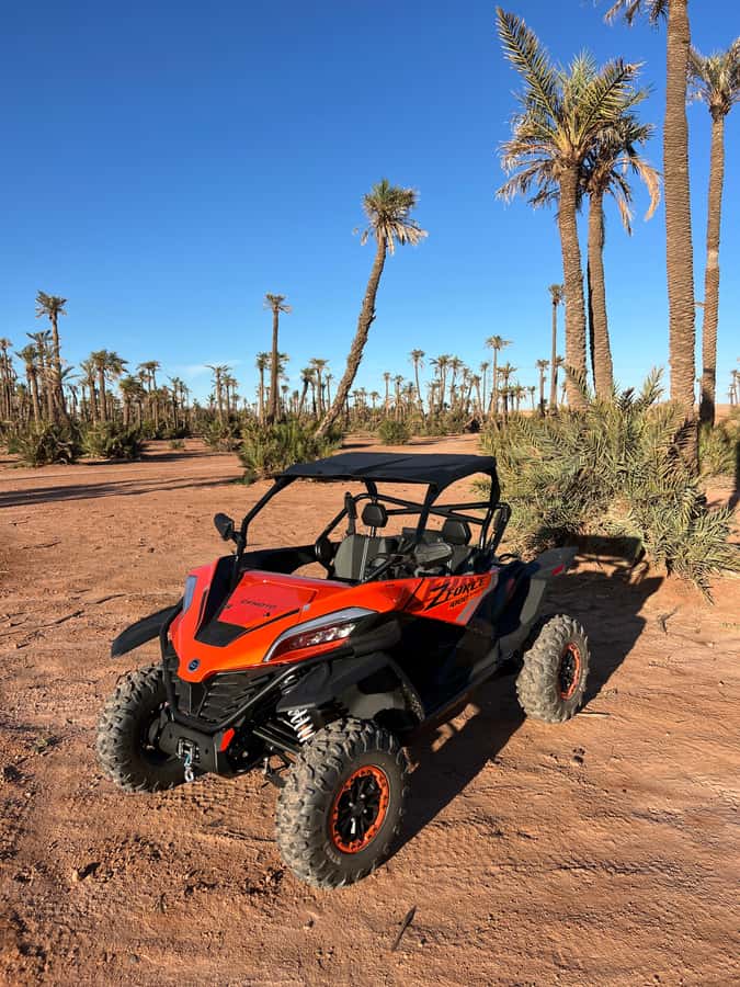 Marrakech : Palm Grove and jbilat Desert Buggy 1000cc Tour - Should You Book This Marrakech Buggy Tour?