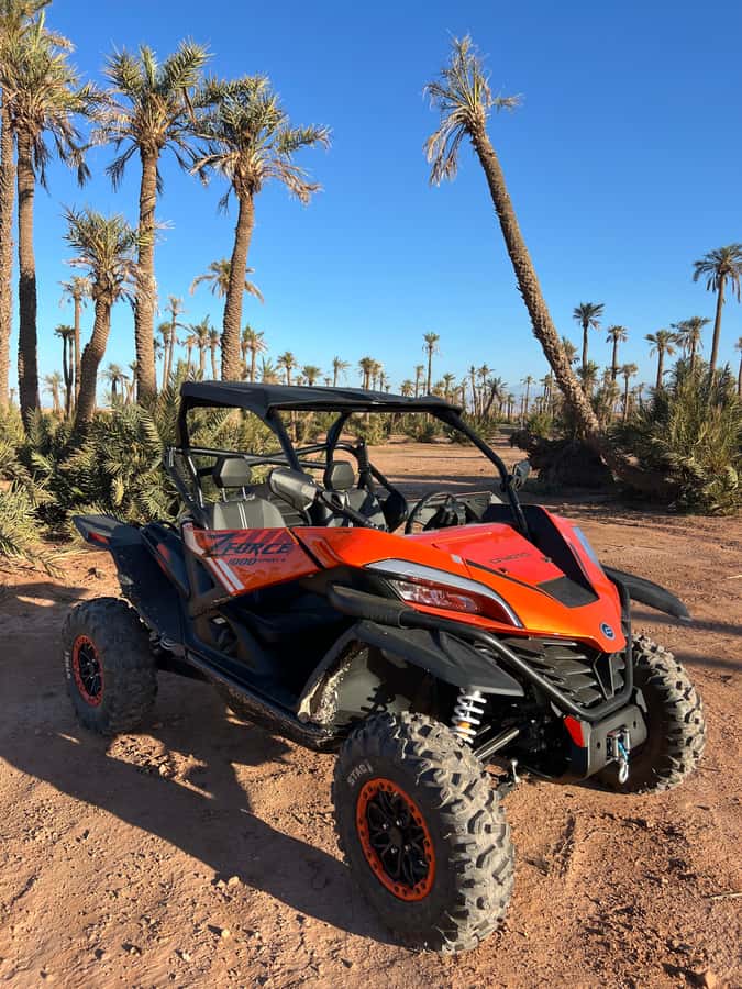 Marrakech : Palm Grove and jbilat Desert Buggy 1000cc Tour - The Safety Briefing and 1000cc ZCF Buggy