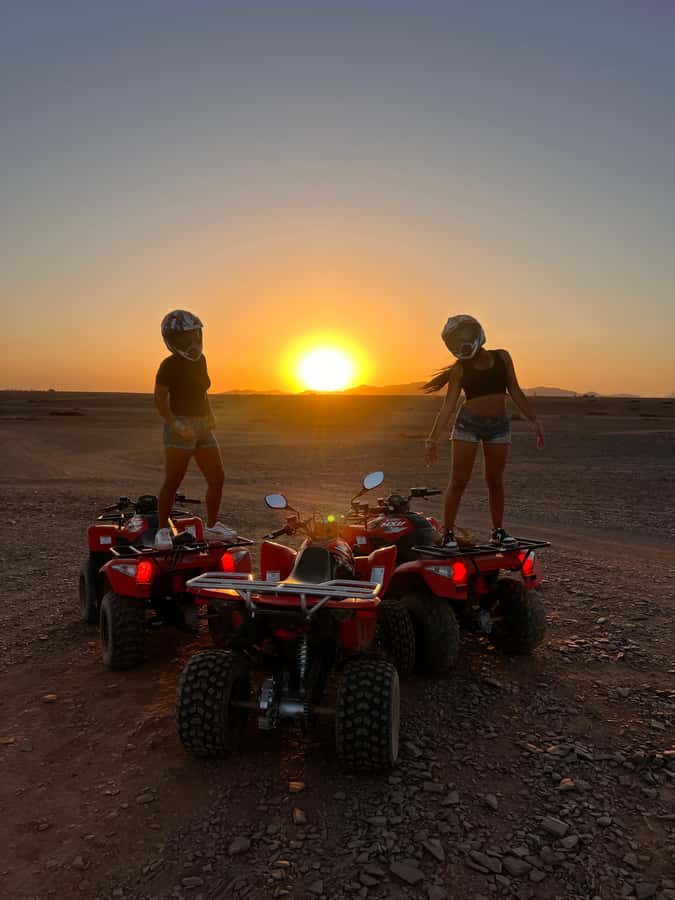 Marrakech: Palm Grove and Jbilat Desert Quad Bike Tour - Who should book this half-day ride?