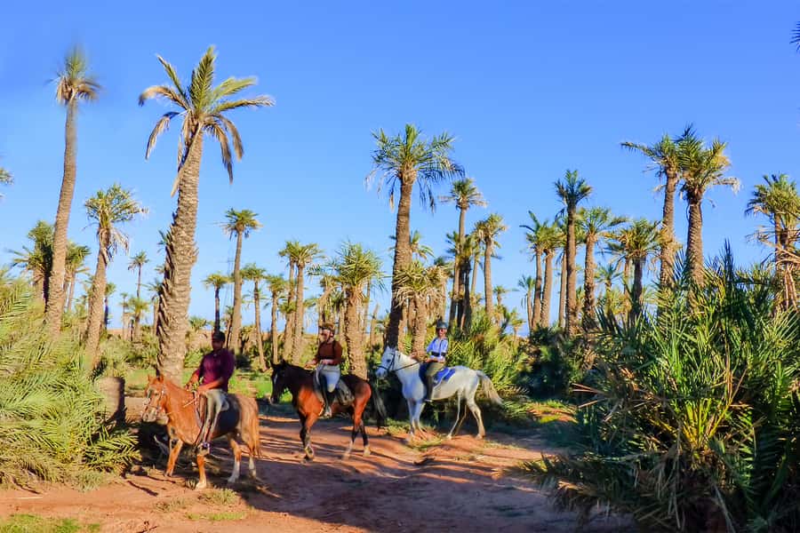 Marrakech: Palm Grove Horseback Riding Tour - Riding through the Palmeraie outside Marrakech
