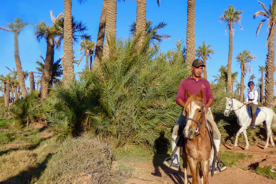 Marrakech: Palm Grove Horseback Riding Tour - Meeting the horses and choosing your pace