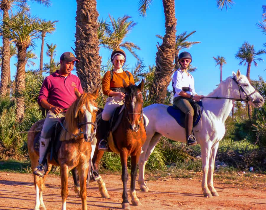Marrakech: Palm Grove Horseback Riding Tour - Should you book the Palmeraie horseback ride?