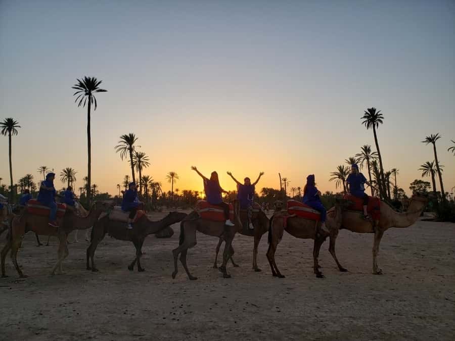 Marrakech palm grove: Sunset camel ride - Who will enjoy this outing most