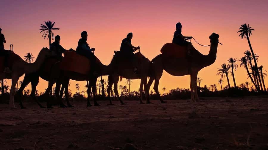 Marrakech palm grove: Sunset camel ride - Dressing up before meeting the camels