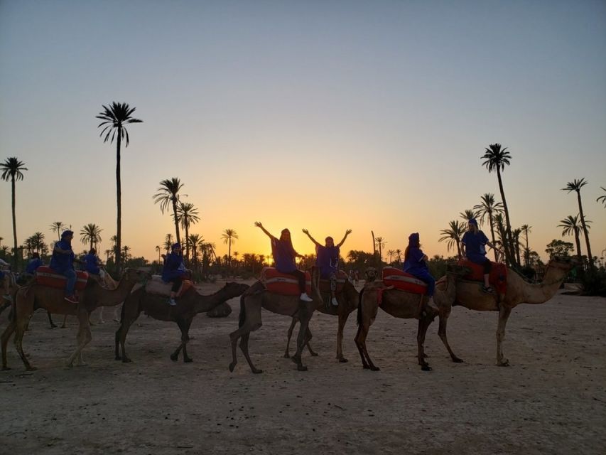 Marrakech palm grove: Sunset camel ride - Returning at sunset