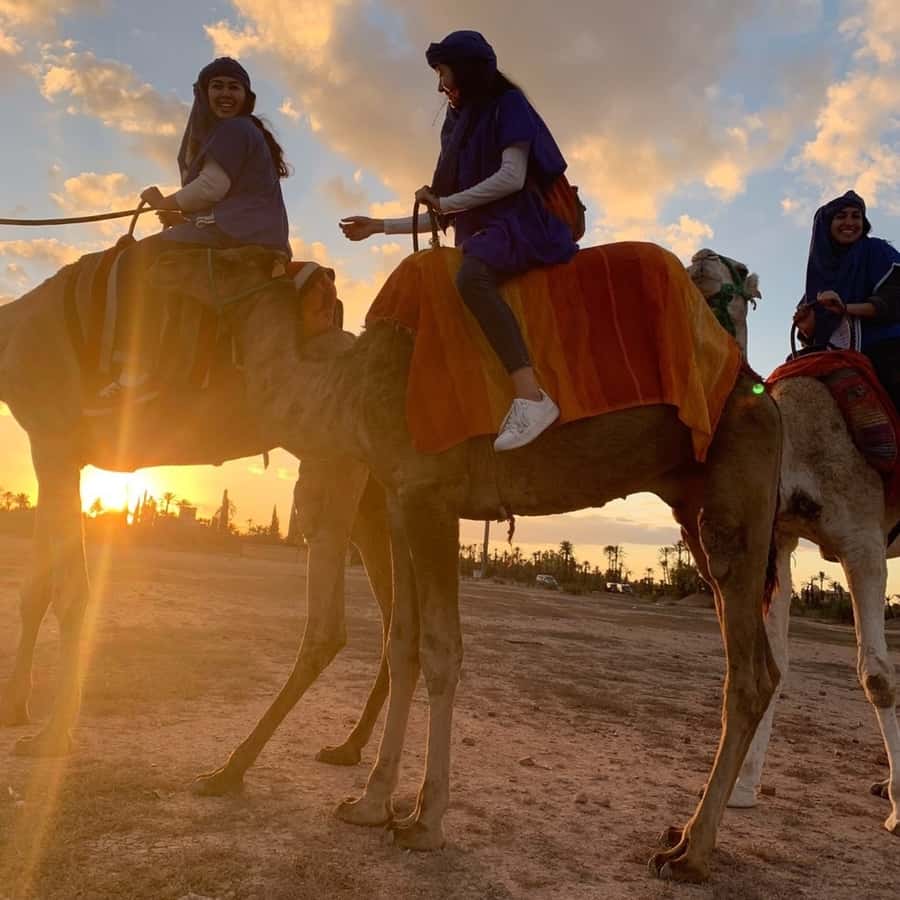 Marrakech palm grove: Sunset camel ride - What to wear and bring
