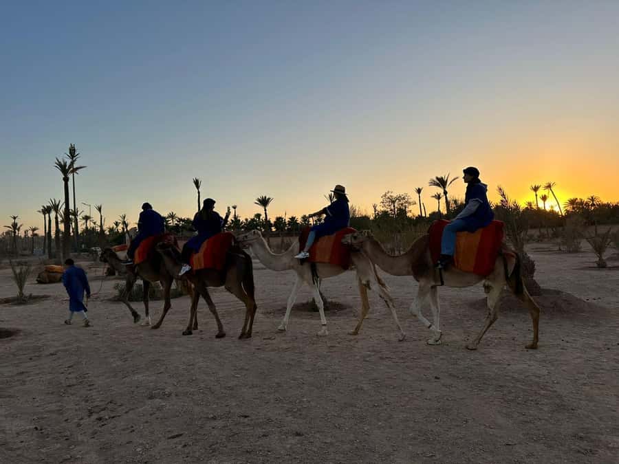 Marrakech Palmeraie Camel Ride Adventure - Leaving Marrakech for the Palmeraie