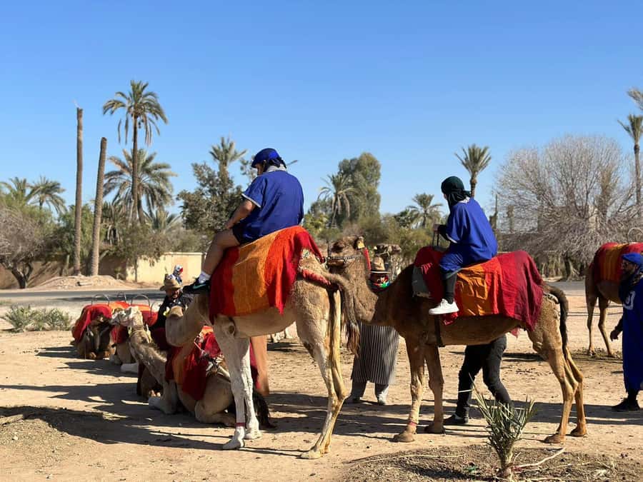 Marrakech Palmeraie Camel Ride Adventure - A Moroccan tea break in a village