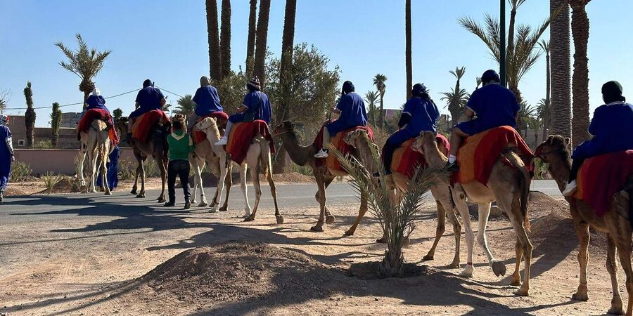 Marrakech Palmeraie Camel Ride Adventure - How the guides shape the outing