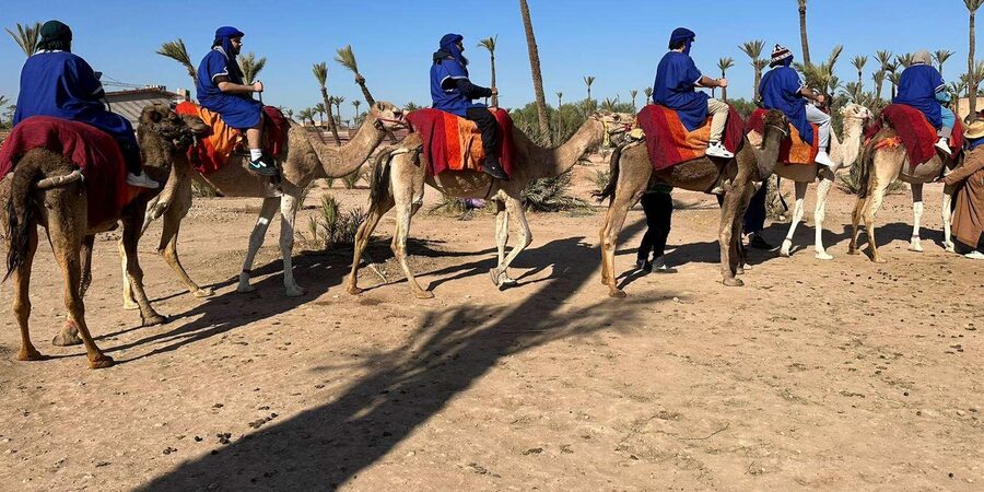 Marrakech Palmeraie Camel Ride Adventure - Is $26 good value?