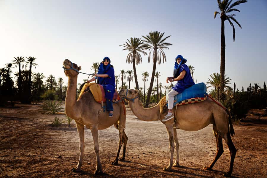 Marrakech Palmeraie: Camel Ride at Sunset - A sunset ride through Marrakech’s Palmeraie