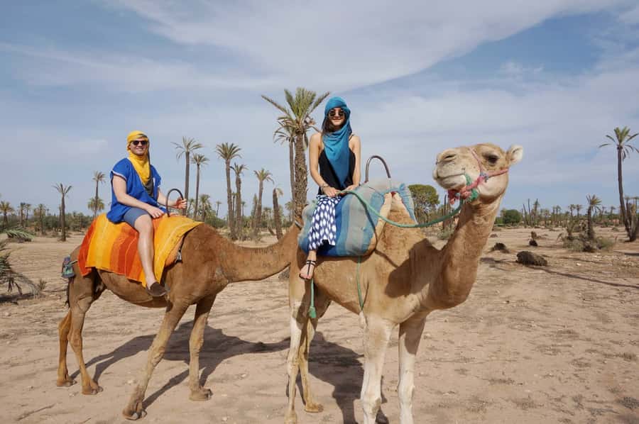 Marrakech Palmeraie: Camel Ride at Sunset - Guides make the difference