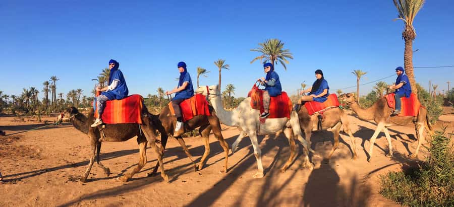 Marrakech Palmeraie: Camel Ride at Sunset - Is the $20 price good value?
